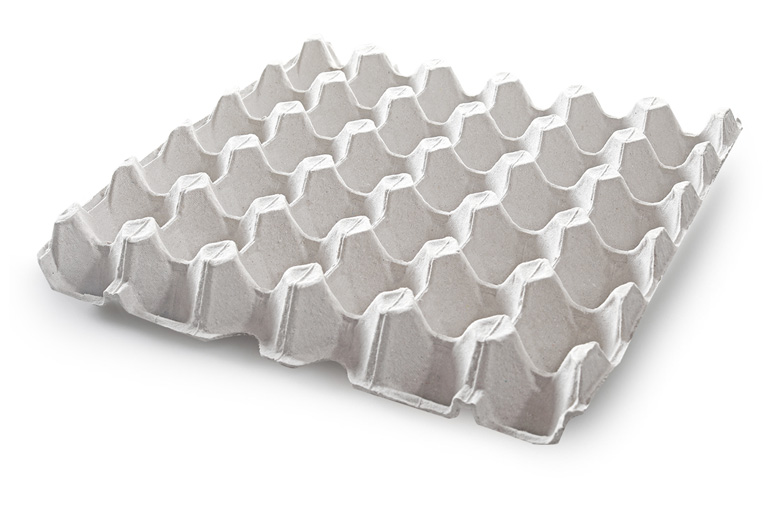 Paper Pulp Egg Tray EPPORPACK SDN. BHD.