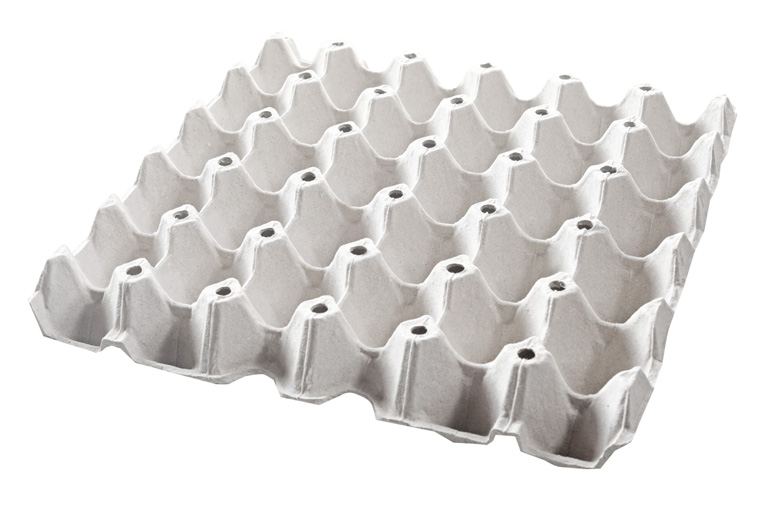 Paper Pulp Egg Tray EPPOR PACK SDN BHD paper-pulp-egg-tray-eppor-pack-sdn-bhd