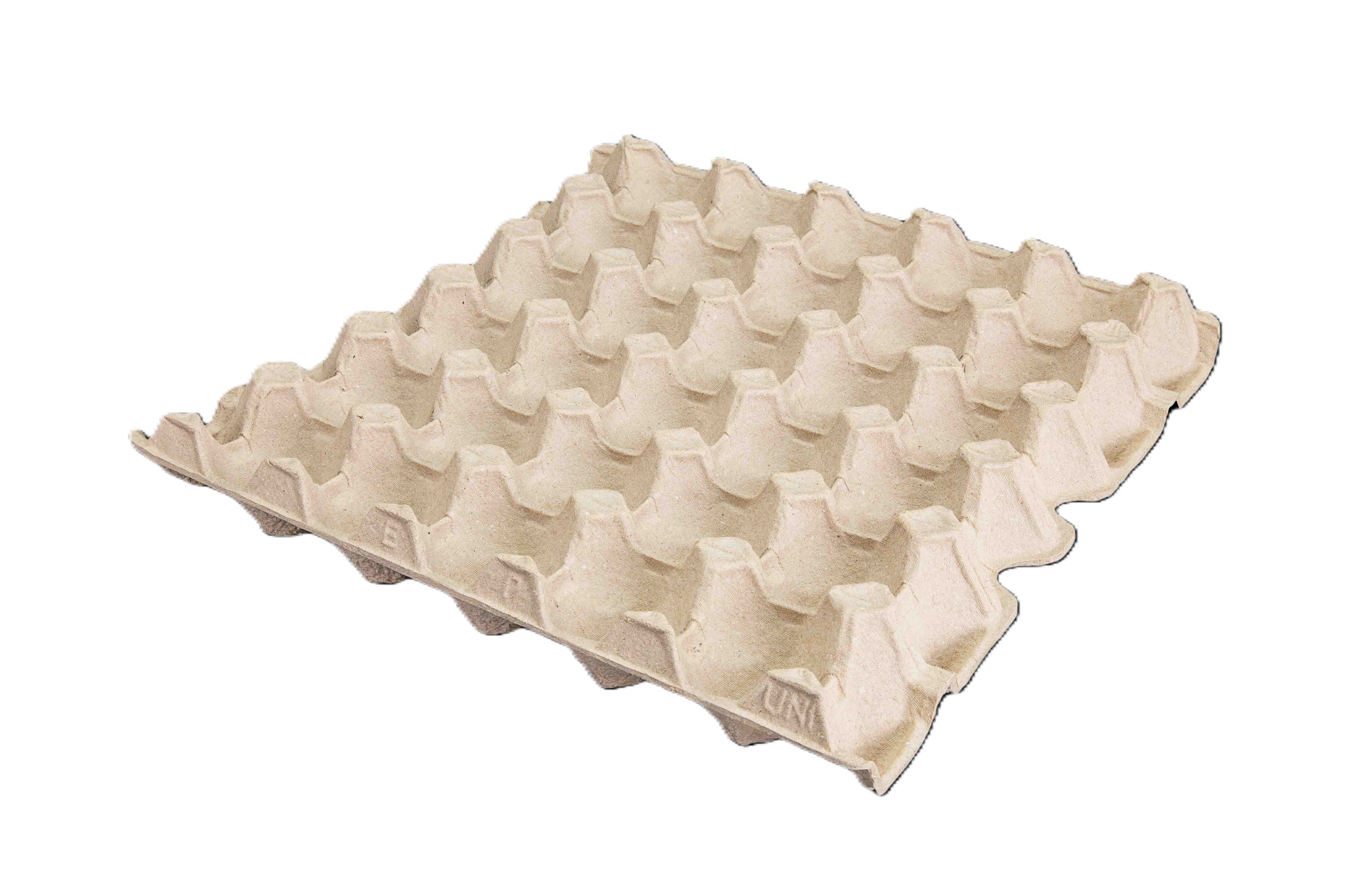 //www.epporpack.com/2018/wp-content/uploads/2018/03/Egg-Tray-UNI-Size.jpg