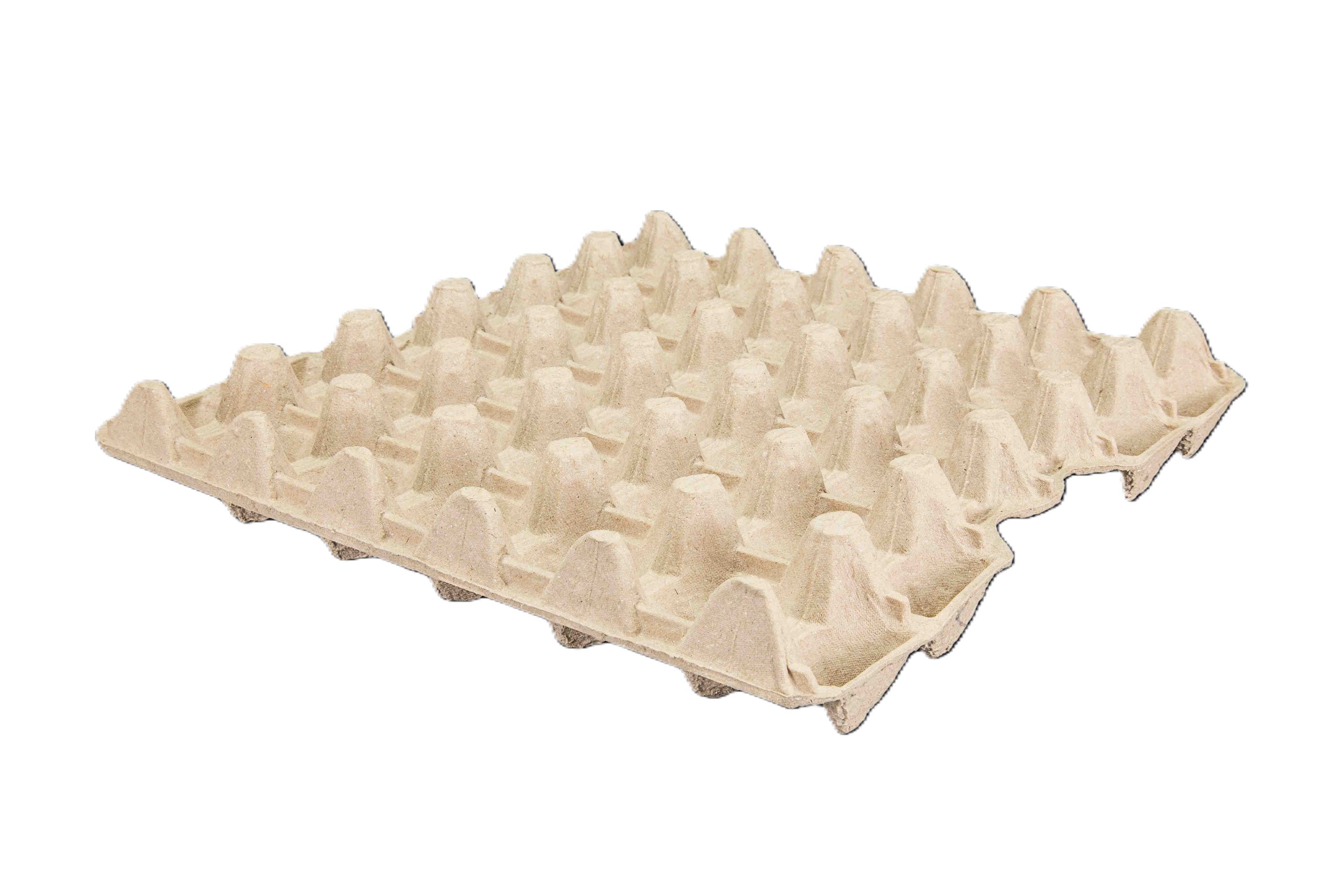 //www.epporpack.com/2018/wp-content/uploads/2018/04/Egg-Tray-AA-Size.jpg