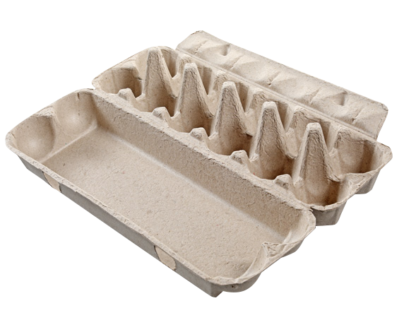 Paper Pulp Egg Carton